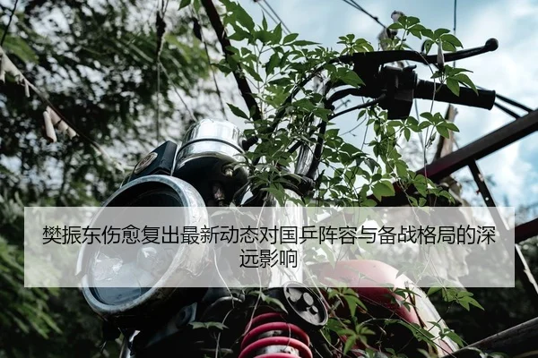 樊振东伤愈复出最新动态对国乒阵容与备战格局的深远影响